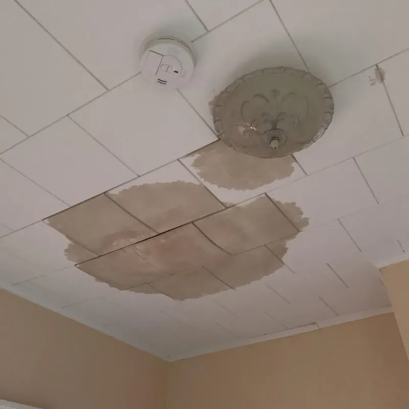 Ceiling Water Damage Repair in Huntington, IN