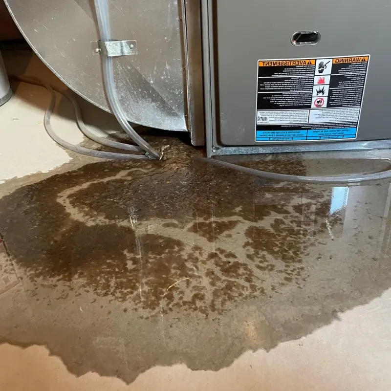 Pipe Burst and Leak Restoration in Huntington, IN
