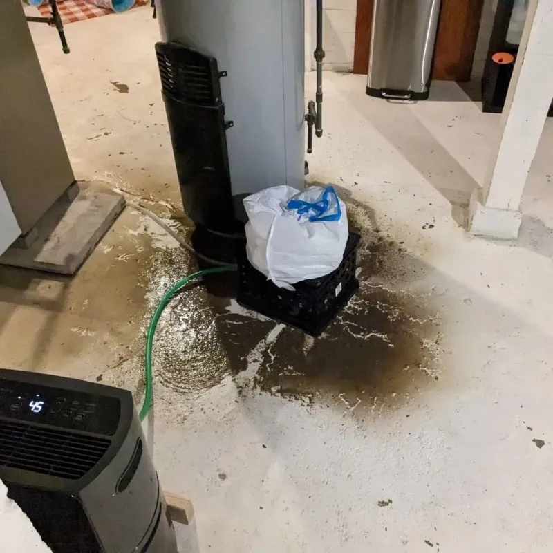Sewage Backup Cleanup Service in Huntington, IN